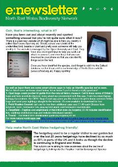 Biodiversity newsletter